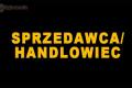 Doradca Handlowy szuka pracy