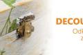 Decoupage - kurs w AP Edukacja